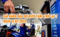 Kỳ điều hành giá xăng dầu ngày 11 tháng 7 năm 2023 có thể tăng trở lại