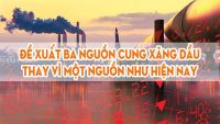 Đại lý kinh doanh xăng dầu có được nhập hàng từ nhiều nguồn